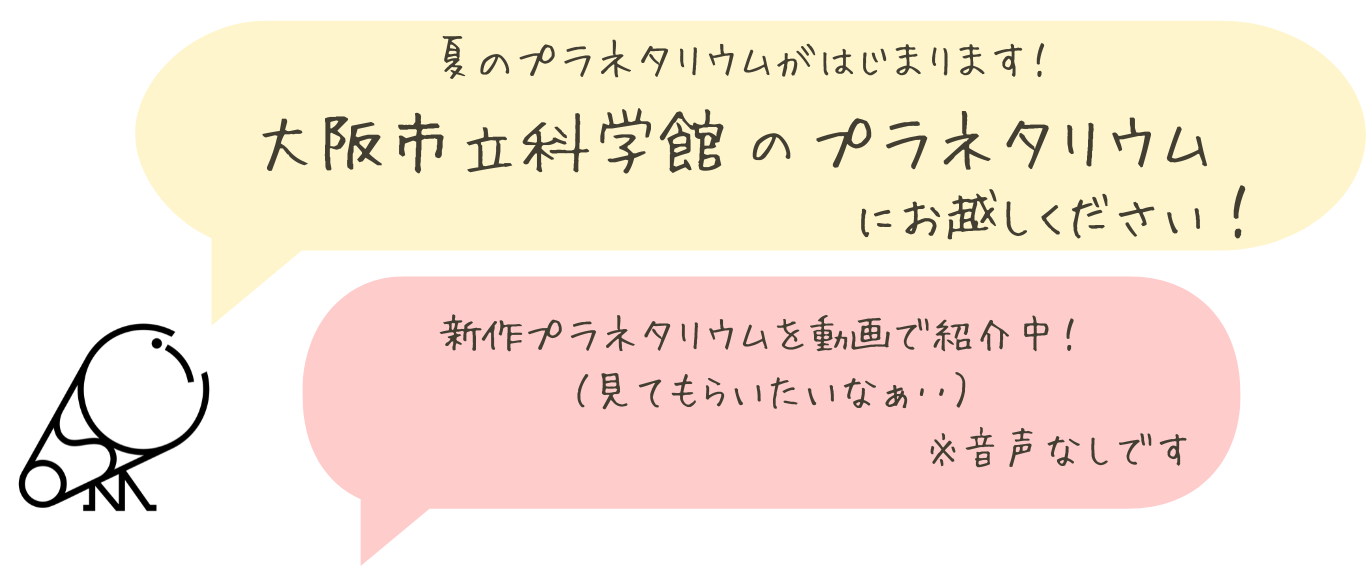 動画で紹介中